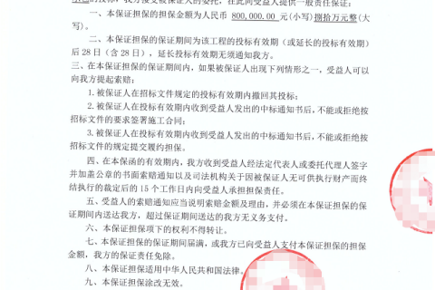 专业担保公司开具的投标保函