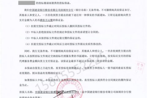 国家电网批次投标保函