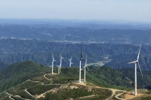 分布式光伏发电项目工程施工银行履约保函见索即付独立格式