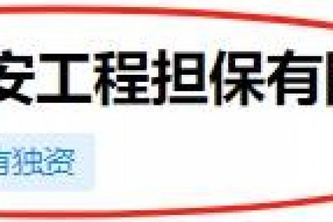 解放军投标项目国有金融担保机构投标保函办理说明