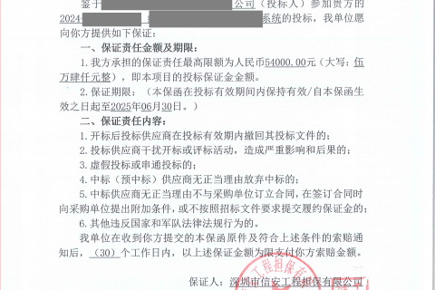 办理中国人民解放军总医院招标文件所需的投标保函。