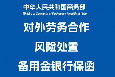 对外劳务合作管理条例