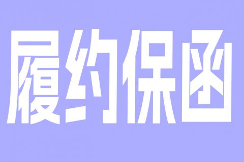 国企融资担保公司的履约保函