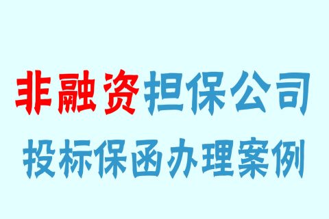 非融资性担保公司出具的投标保函