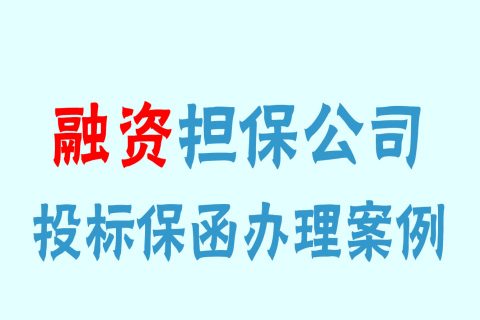 融资担保公司出具的投标保函