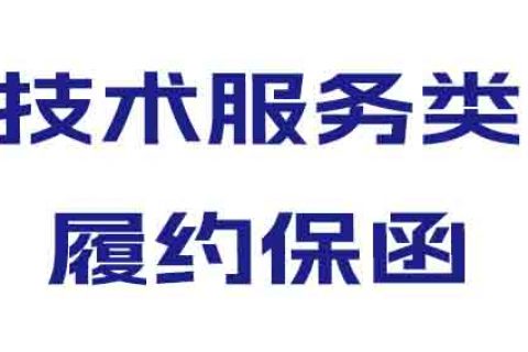 办理技术服务类履约保函